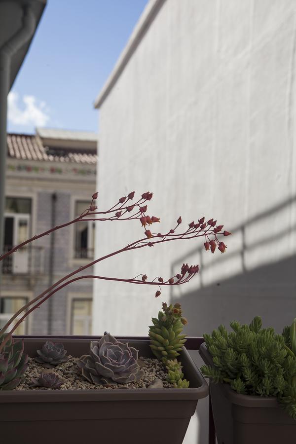 Lisbon Poets Inn Dış mekan fotoğraf